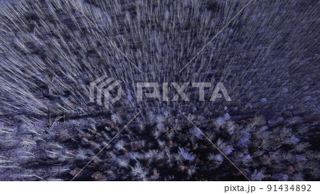 Closeup of fantasy blue autumn forest Closeup of fantasy blue autumn forest 91434892