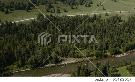 Deep forest and river in valley of Altai Deep forest and river in valley of Altai 91435017