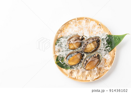 活きアワビ 活きアワビ 91436102