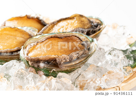 活きアワビ 91436111