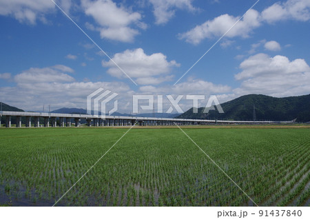 北陸新幹線 延伸工事 鯖江市舟枝町から中野町 2022年6月 北陸新幹線 延伸工事 鯖江市舟枝町から中野町 2022年6月 91437840
