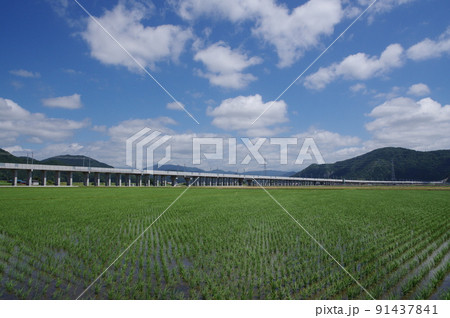 北陸新幹線 延伸工事　鯖江市舟枝町から中野町　2022年6月 91437841