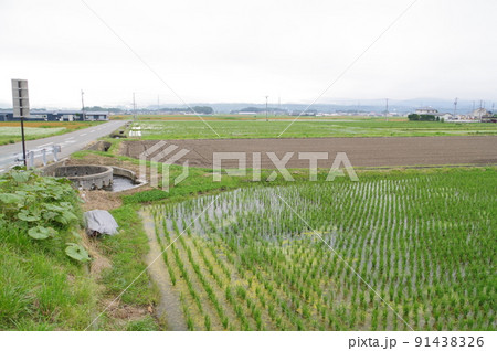 長野県の灌漑施設　西天竜幹線水路　円筒分水群「大泉21号乙」　特徴的な灌漑施設 91438326
