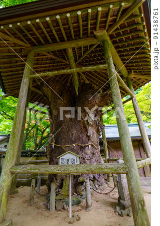 根香寺 根香寺 91438761