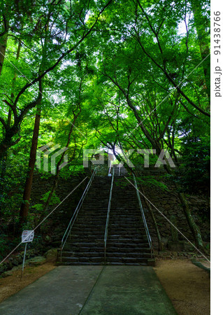 根香寺 91438766