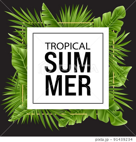 Tropical palm leaf isolated on white and black background. Realistic green summer party plant banner with square frame. Vector illustration Tropical palm leaf isolated on white and black background. Realistic green summer party plant banner with square frame. Vector illustration 91439234