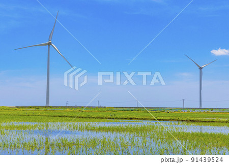 風力発電 風力発電 91439524