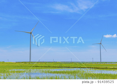 風力発電 91439525