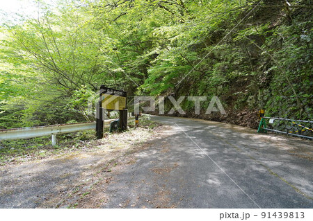 栃木県 足尾町 国道122号線より、旧道にある細尾峠への分岐付近 2022年5月8日 栃木県 足尾町 国道122号線より、旧道にある細尾峠への分岐付近 2022年5月8日 91439813