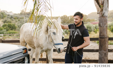 horse trainer at work on the farm at sunset light 91439836