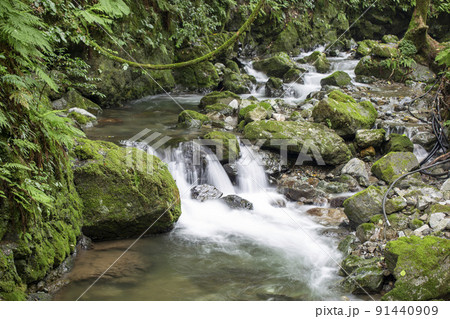 清流 清流 91440909