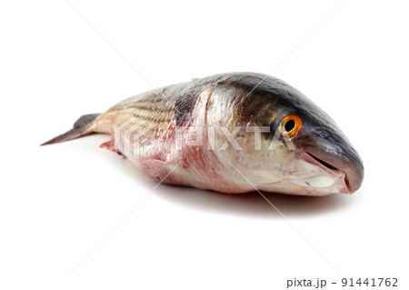 Pelengas (So-iuy Mullet) Pelengas (So-iuy Mullet) 91441762