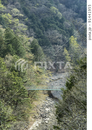 春の丹波川 山梨県 丹波山村 4月 春の丹波川 山梨県 丹波山村 4月 91441955