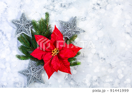 Christmas composition with red poinsettia and fir twigs. Christmas composition with red poinsettia and fir twigs. 91441999