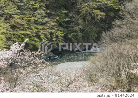 春の丹波川　山梨県　丹波山村　4月 91442024