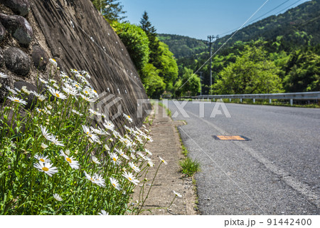 《岐阜県》恵那市風景 《岐阜県》恵那市風景 91442400