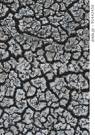 Dry soil.La Pampa Argentina 91442450