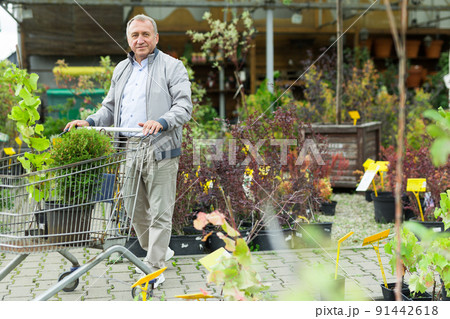 Caucasian man choosing sprouts in garden center Caucasian man choosing sprouts in garden center 91442618
