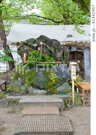 藤森神社 不二の水（京都市伏見区） 91442957