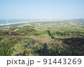 景色 風景 青空 91443269