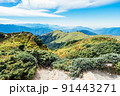 景色 風景 自然 91443271