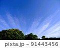 撮りたくなる空 91443456