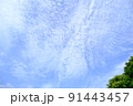 撮りたくなる空 91443457