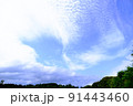 撮りたくなる空 91443460