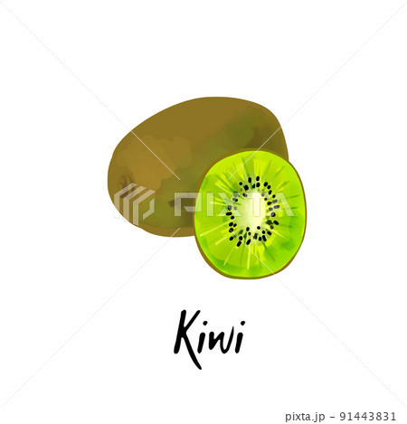 Illustration of a kiwi isolated on a white 91443831