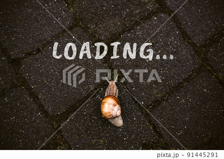 Loading, downloading, slow internet speed concept with word loading and Brown garden snail crawling the road Loading, downloading, slow internet speed concept with word loading and Brown garden snail crawling the road 91445291
