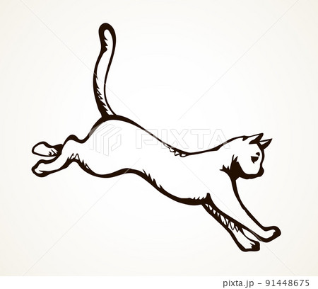 Jumping cat. Vector drawing icon 91448675