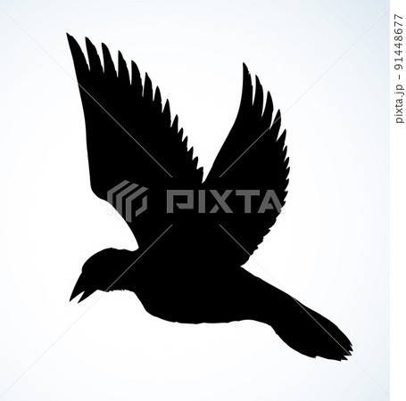 Bird in flight. Vector drawing 91448677