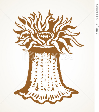 Sea creature. Vector drawing icon 91448685