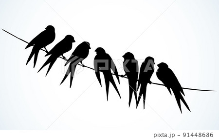 Swallows are sitting on a wire. Vector drawing 91448686