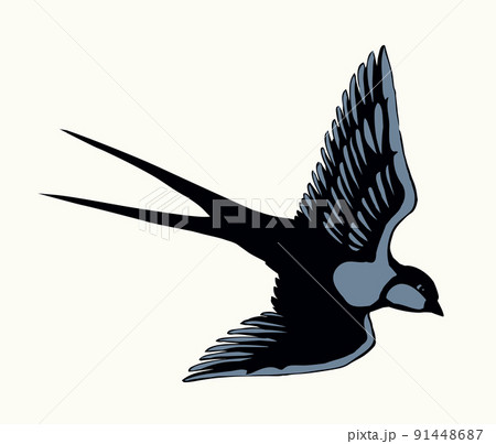 Swallow with paper card. Vector drawing 91448687