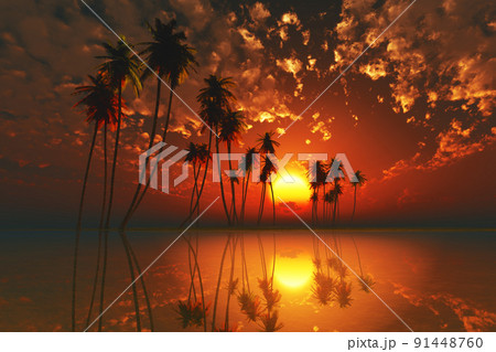 red tropical sunset red tropical sunset 91448760