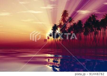 sun rays inside coconut palms sun rays inside coconut palms 91448782