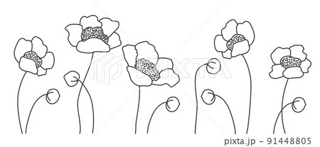 Anemone flower or Windflower, bud and leaf. 91448805