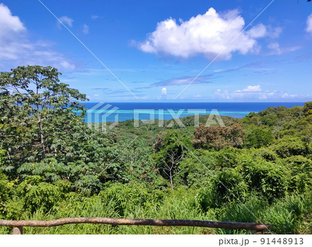 An aerial view of a tropical beach in Roatan Honduras early in the morning. 91448913