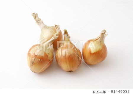 玉ねぎ 91449052