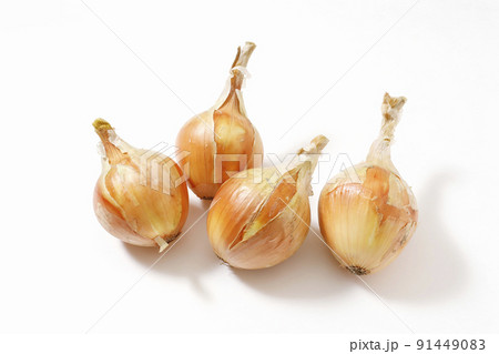玉ねぎ 玉ねぎ 91449083