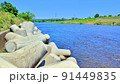 田舎の川と自然の風景 91449835