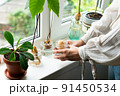Home gardening concept. Unrecognizable woman holding retro jar with avocado plant growing in water. 91450534