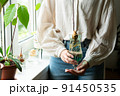 Home gardening concept. Unrecognizable woman holding retro jar with avocado plant growing in water. 91450535