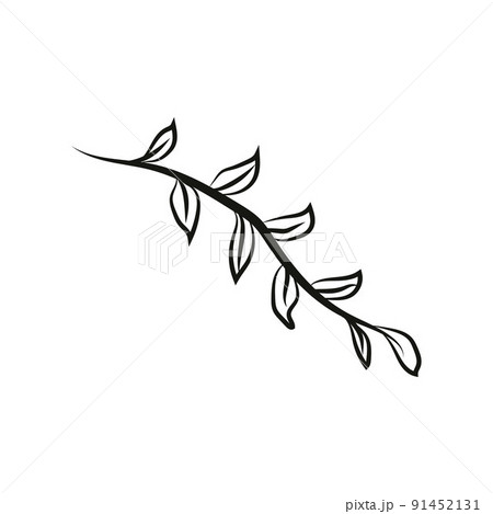 Leaf logo design, vector natural concept inspiration, leaf icon. Leaves 91452131