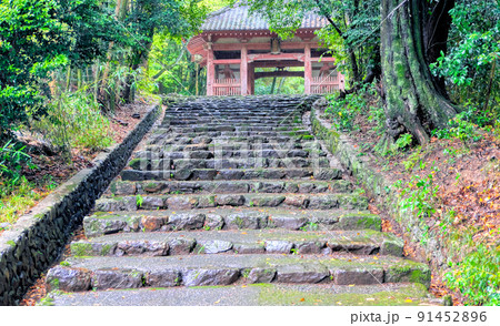京都、勝持寺の参道 91452896