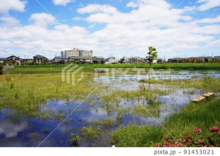 水没した公園 水没した公園 91453021