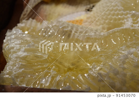 盛り上げ巣 超純粋蜂蜜 盛り上げ巣 超純粋蜂蜜 91453070