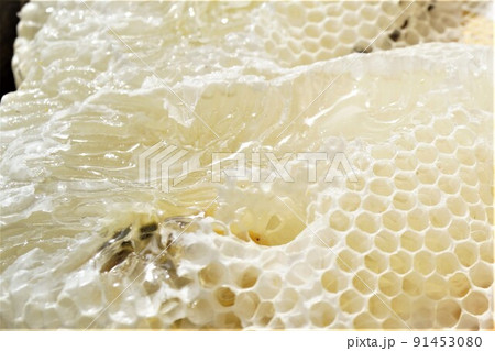 盛り上げ巣 超純粋蜂蜜 盛り上げ巣 超純粋蜂蜜 91453080
