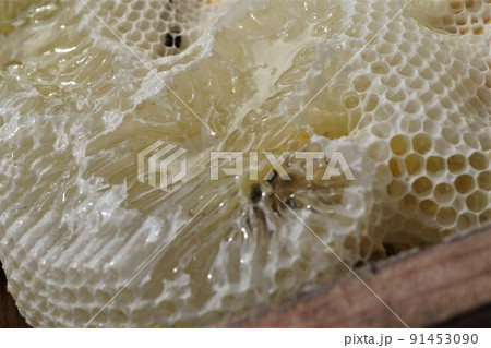 盛り上げ巣 超純粋蜂蜜 盛り上げ巣 超純粋蜂蜜 91453090